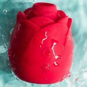 rose toy review rose toy review