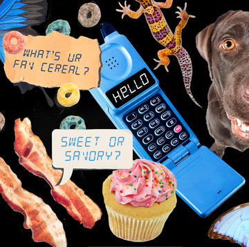 Tinder Conversation Starters tinder conversation starters